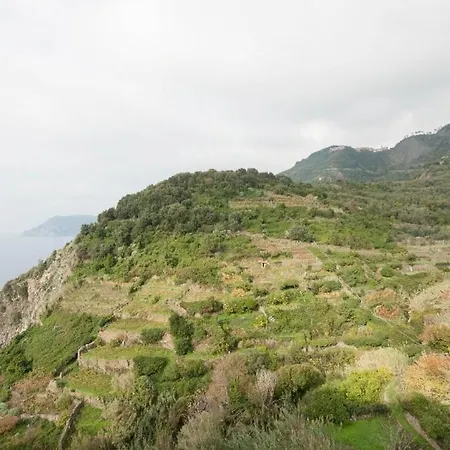Guest house Arbanella Corniglia