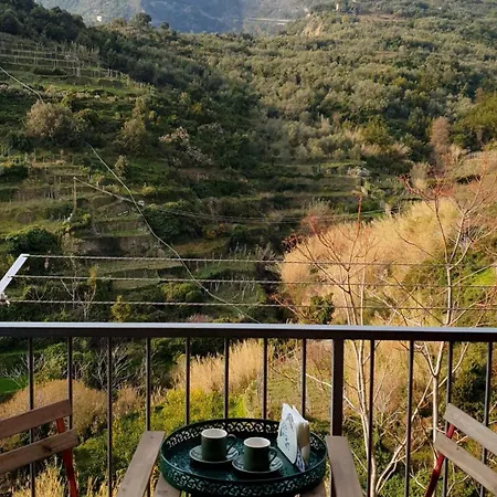 Guest house Arbanella