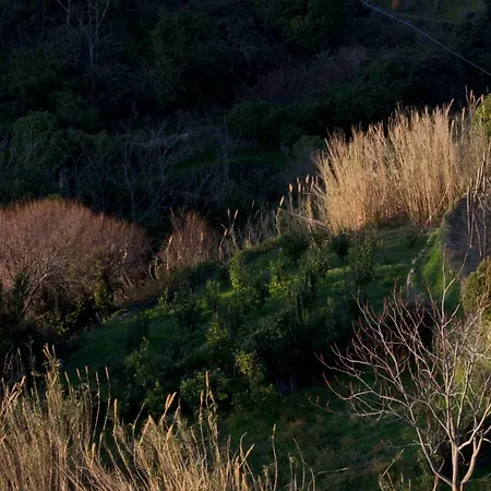 Arbanella 2* Corniglia